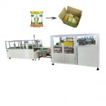 automatic bag carton case packer machine