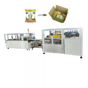 automatic bag carton case packer machine