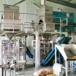 Duha ka yunit sa Millet automatic packaging machine kompleto nga pag-instalar ug pag-debug sa pabrika sa among kliyente