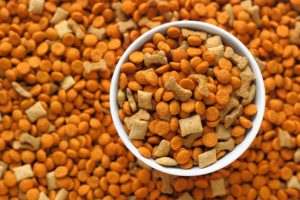 Mga Pagkaon sa Binuhi