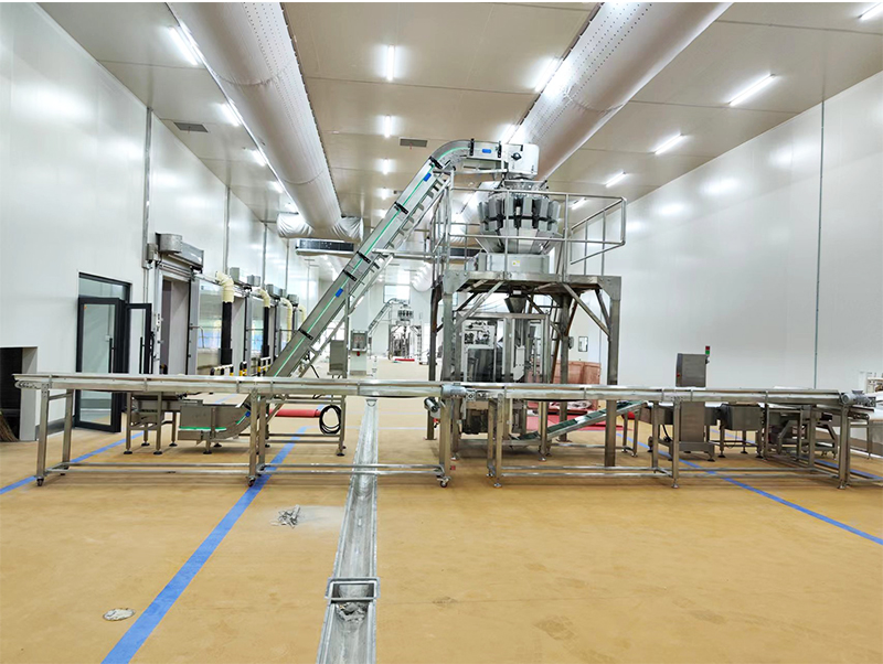 awtomatik nga packing machine forzen nga pagkaon